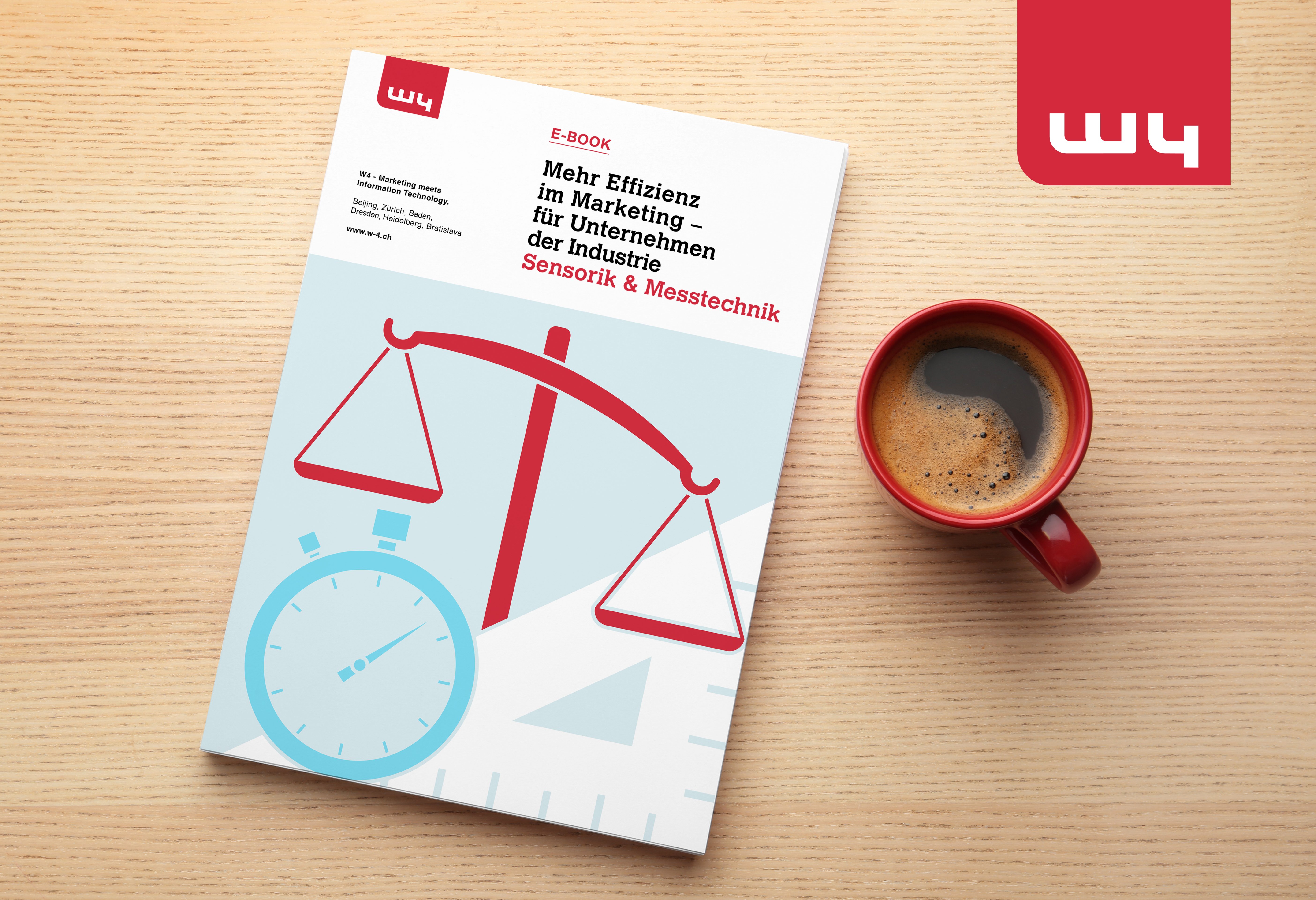 E-Book Effizienz im Marketing