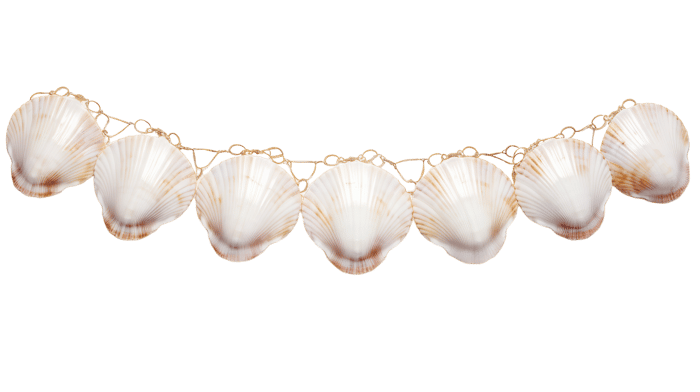 shells_763944804