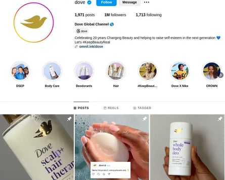 Screenshot of Dove’s Instagram Profile