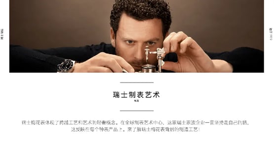 Marketing to China Tipps- page chinese translation