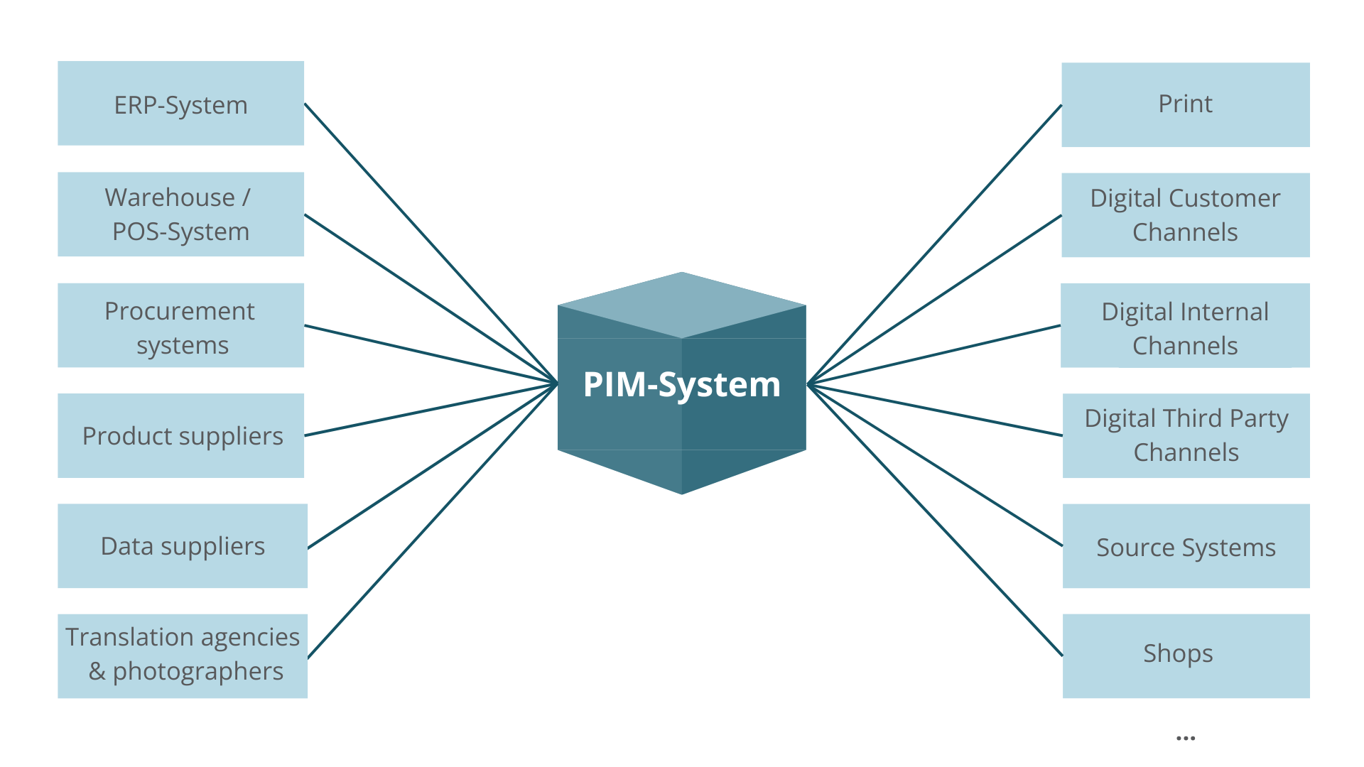 PIM-System (1)